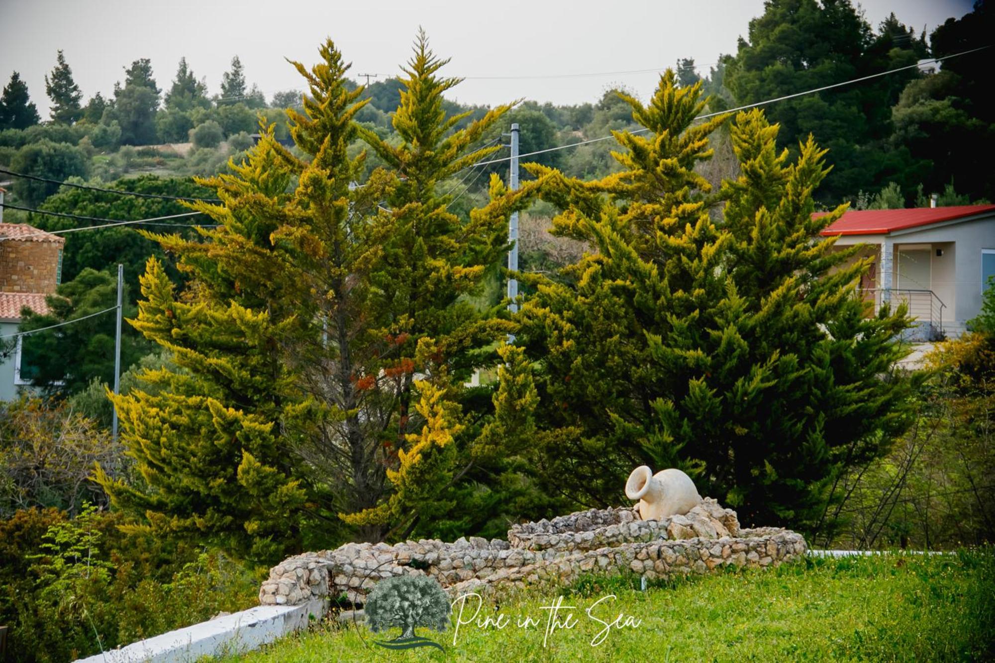 Pine In The Sea Nikiti-Sithonia Nikiti (Sithonia) Exterior foto